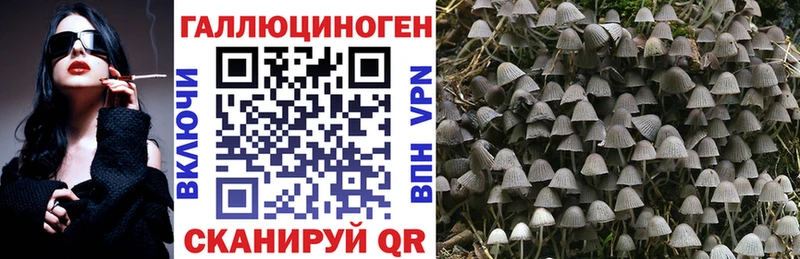 Псилоцибиновые грибы мицелий  Венёв 